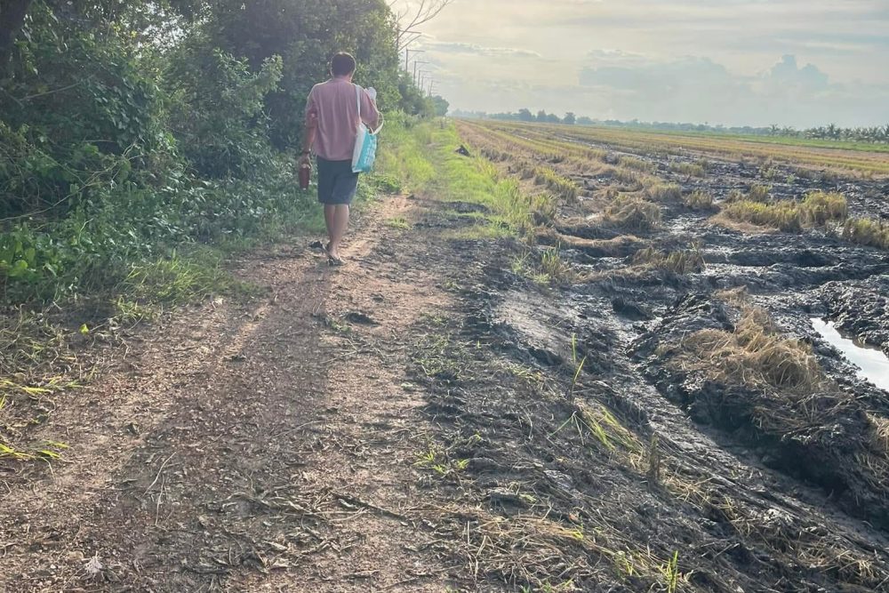 548724068_24176962468673564_8997608294900479873_n