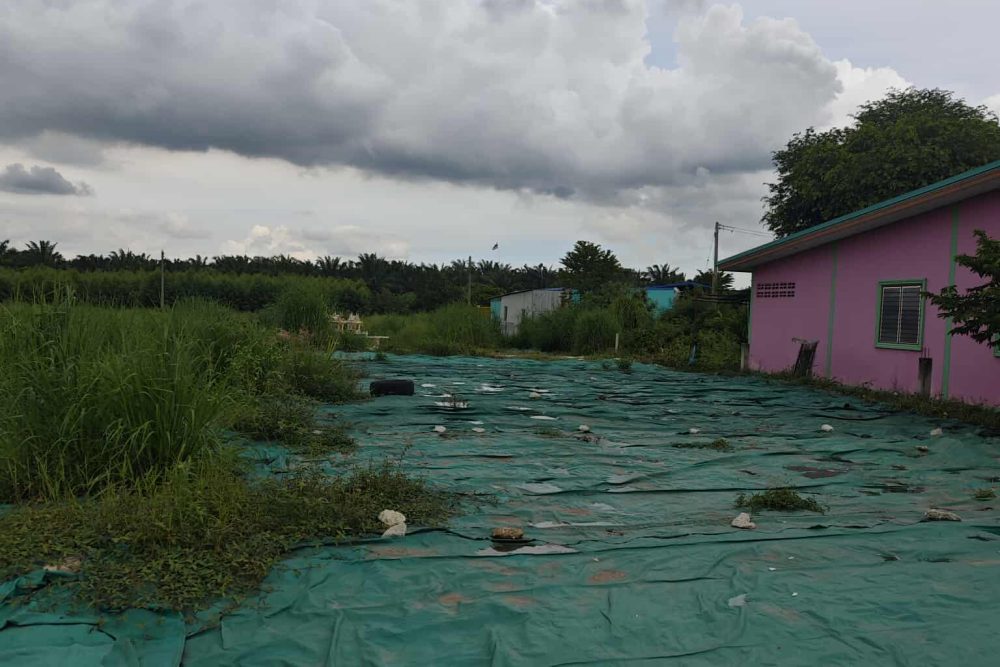 550505057_1347574326795809_1673442631275949841_n