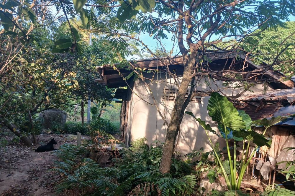 552296918_122098933047039163_2054907833973912420_n