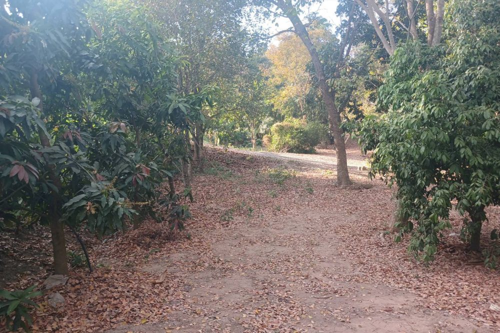 552755070_122098932975039163_7694345122672632998_n