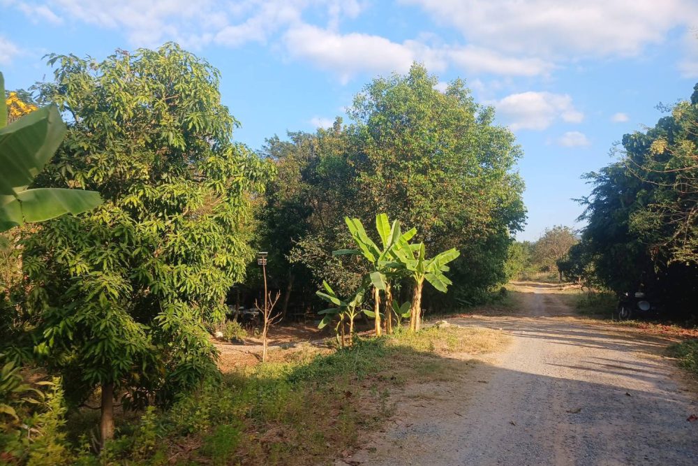 552968705_122098932759039163_3690668765126826681_n