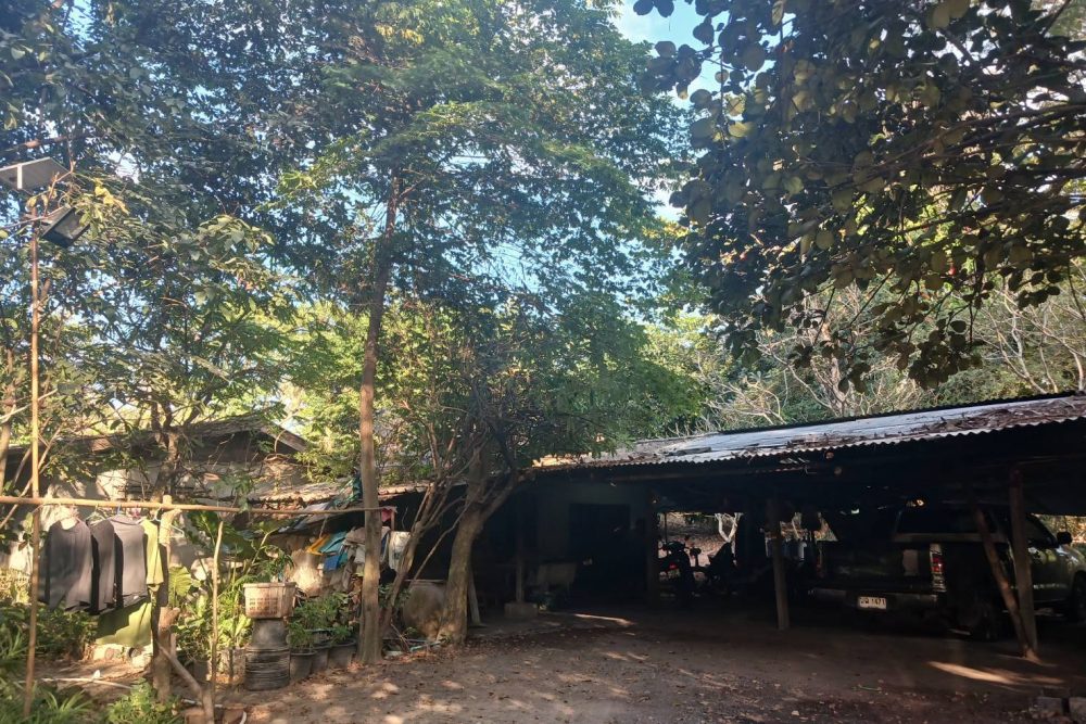 553226747_122098932867039163_8385494284227131459_n