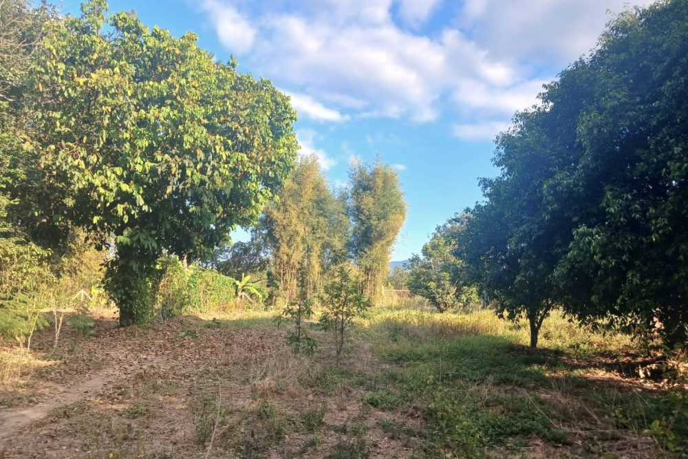 554053206_122098932921039163_8096856058341943714_n