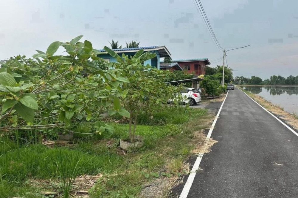 554404724_4260429894102286_5210360178402009502_n