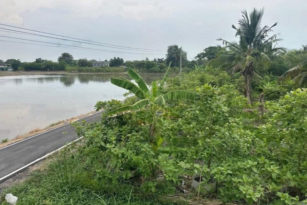 554488776_4260429940768948_4703519617145631637_n