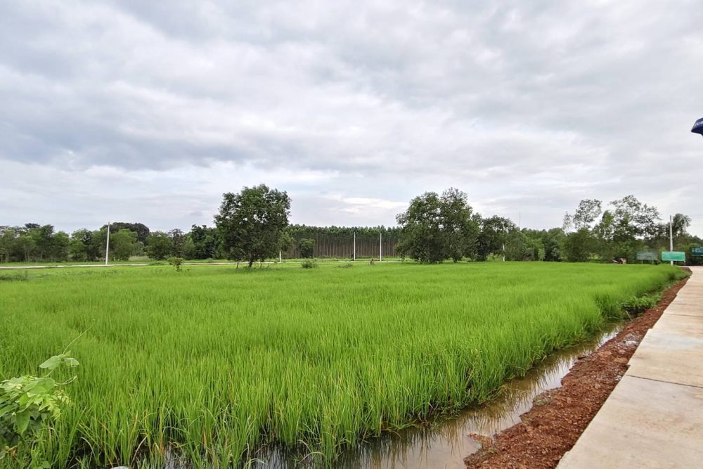 554663010_2626092074409855_716871448041692897_n