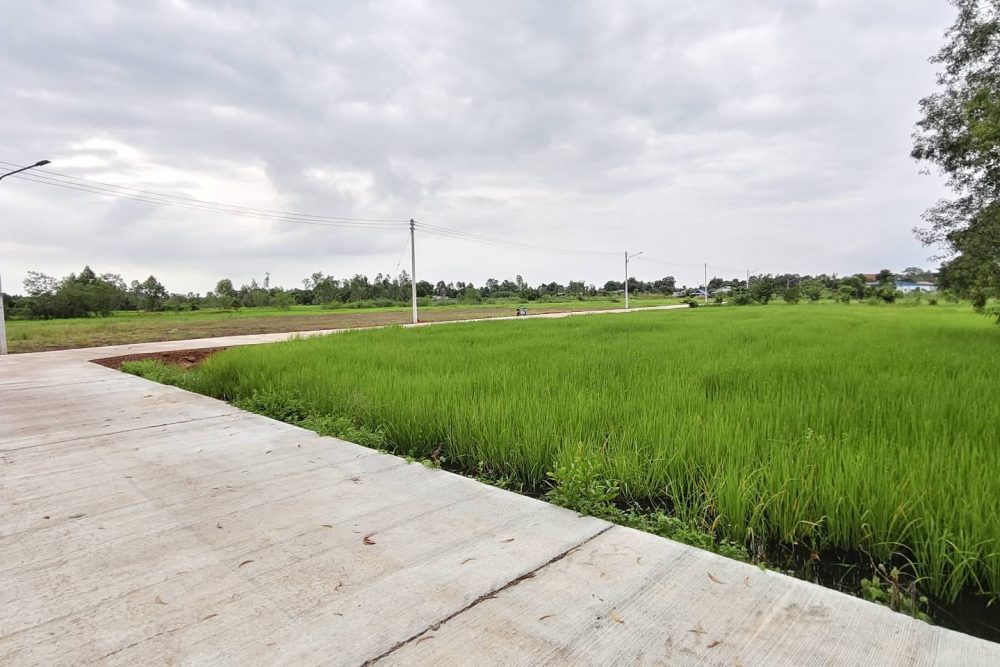 554764896_2626091994409863_4131024300318686340_n