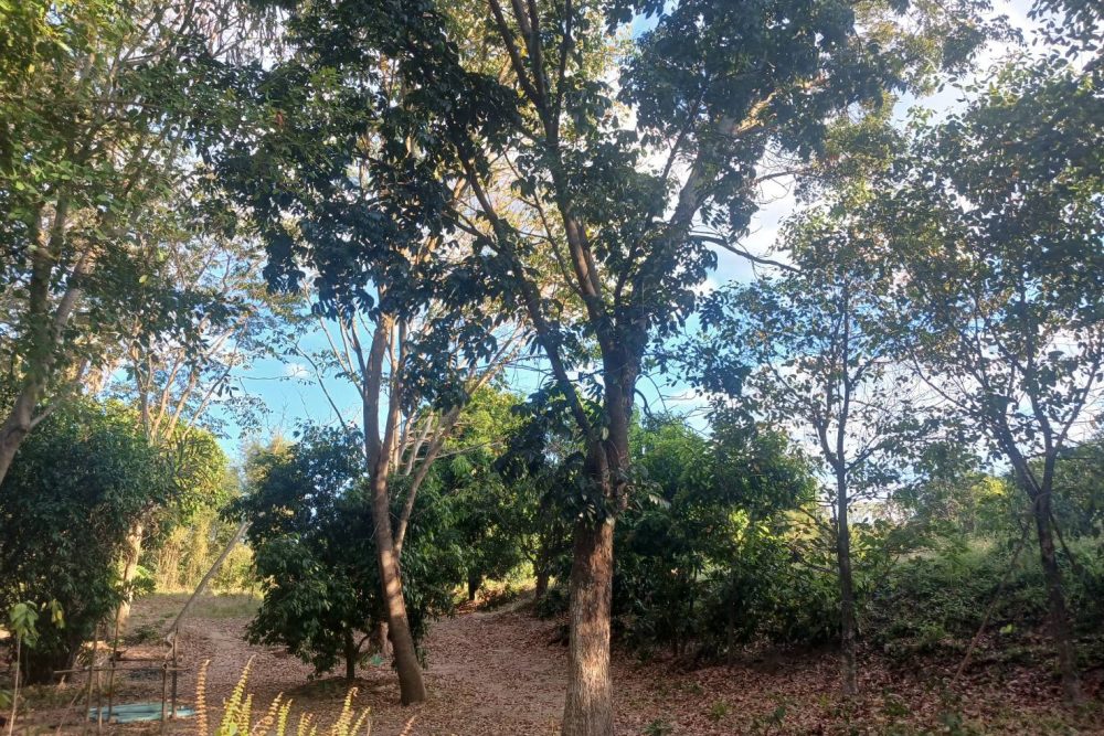 554829092_122098932813039163_6921696990570242864_n