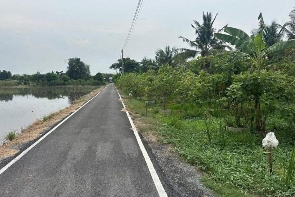 554906737_4260429840768958_8223619737099087435_n