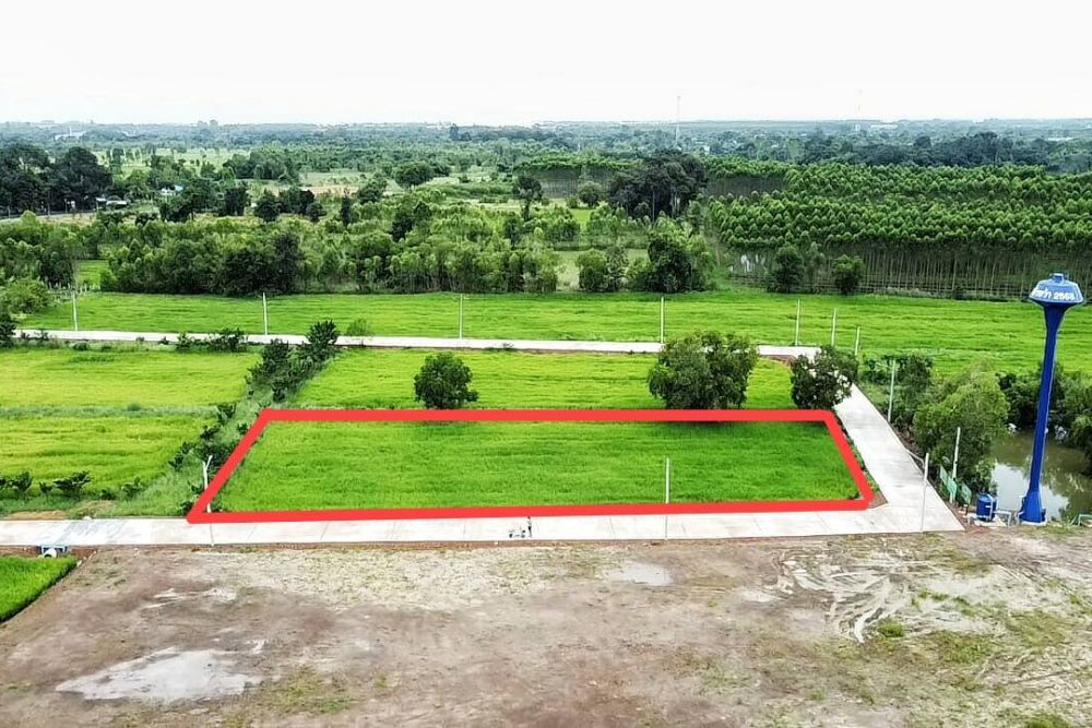 555032099_2626091721076557_809344313860856068_n