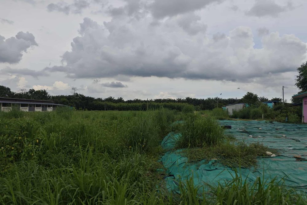 555457611_2055699938589766_2384146508090288700_n