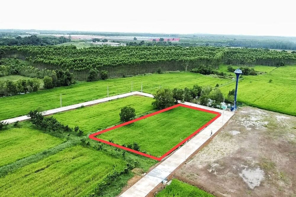 555596245_2626091771076552_5139484748375975887_n