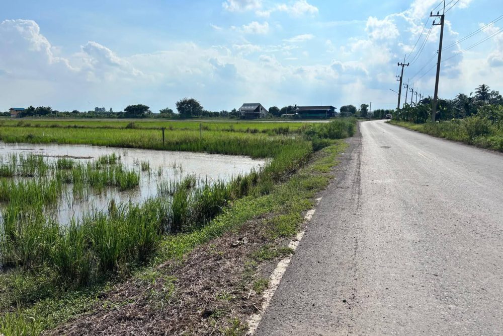 556591558_3655665074564859_5406485584833603375_n