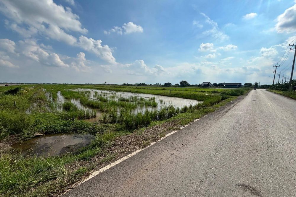 556624400_3655664984564868_2411088504576126022_n