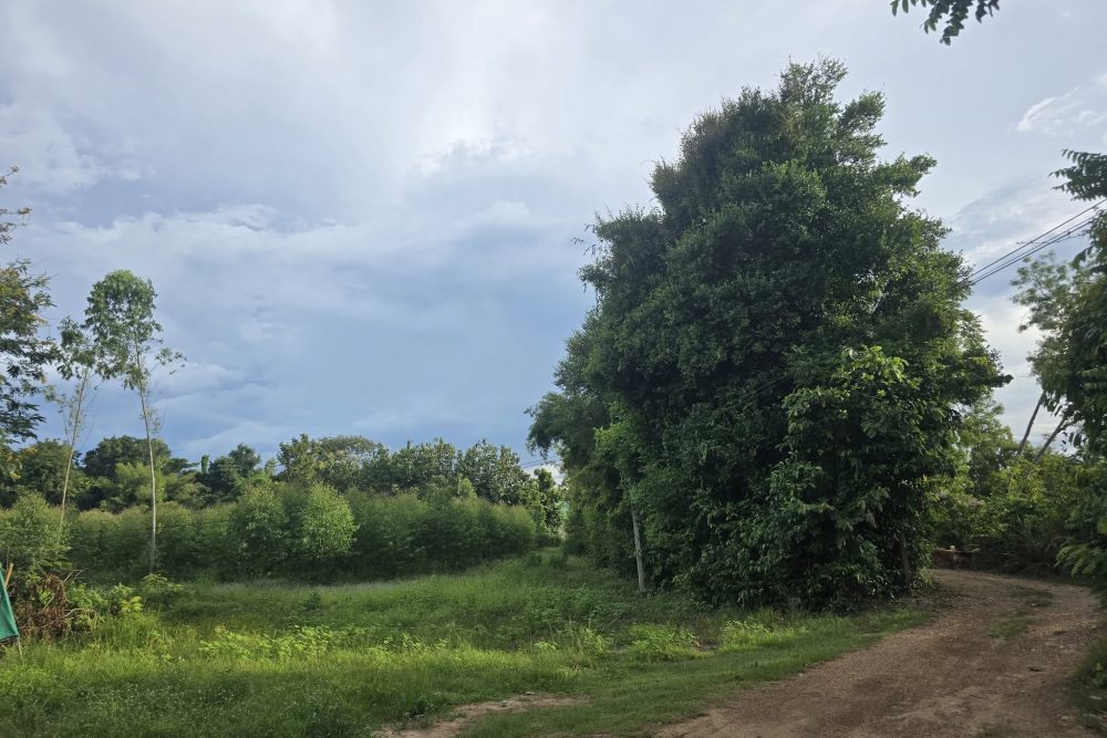 557292078_24644013128595207_2923022770381165094_n