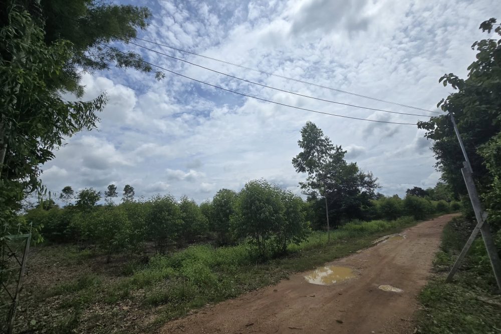 557616289_24644013571928496_380648979897860719_n