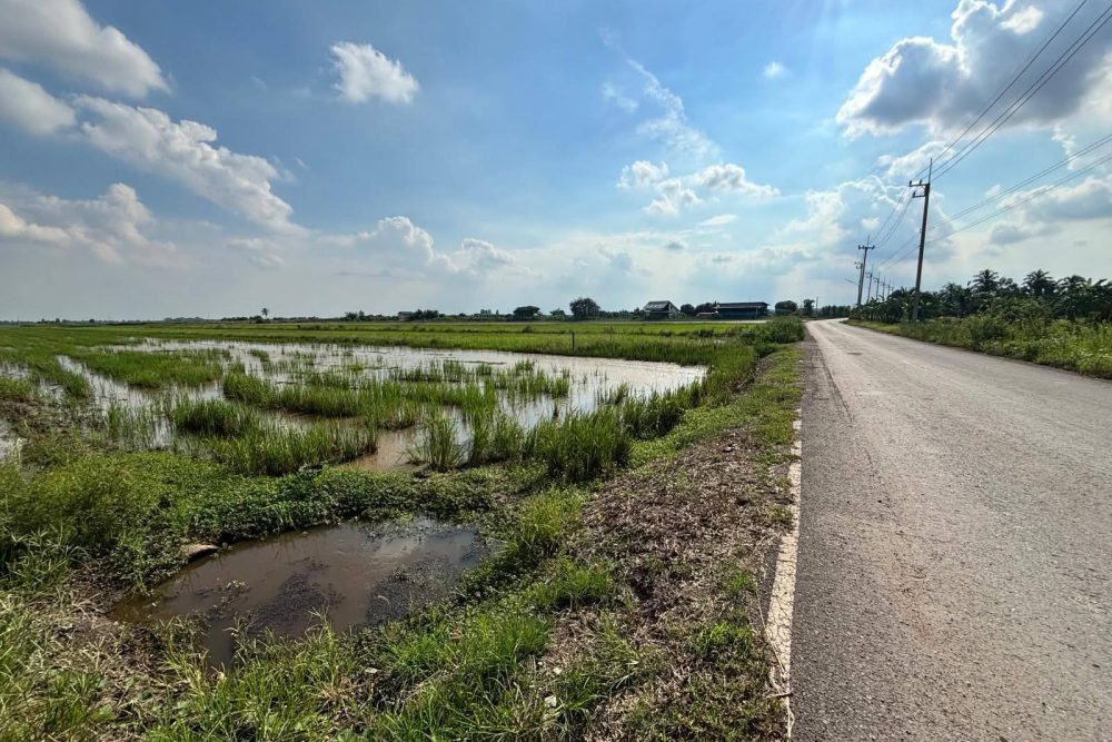 557709983_3655664864564880_515953572698653829_n