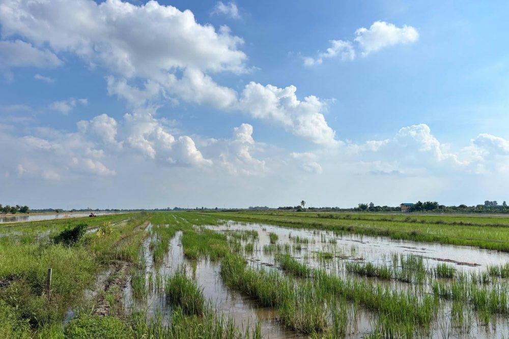 557724971_3655664924564874_7596241389740513361_n