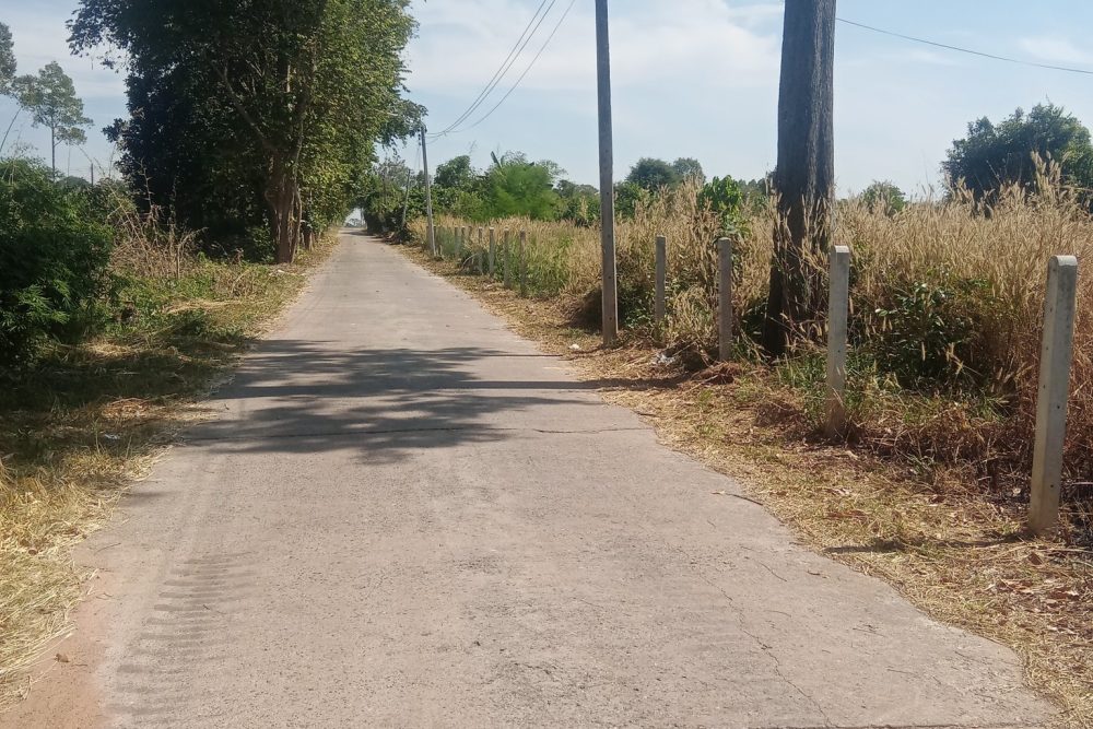 558057066_4003112029952436_4112442612244268540_n