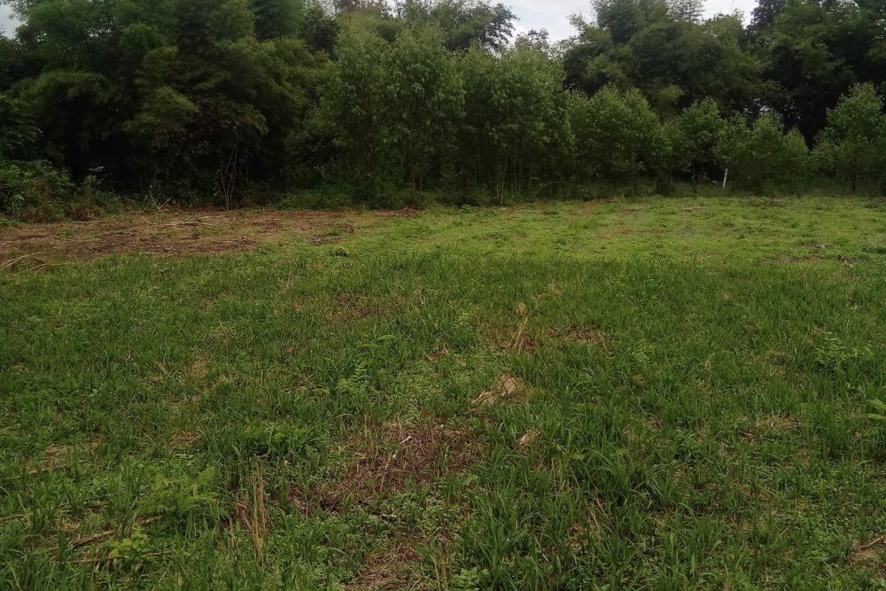 559367251_4012786265651679_6483457160240360170_n