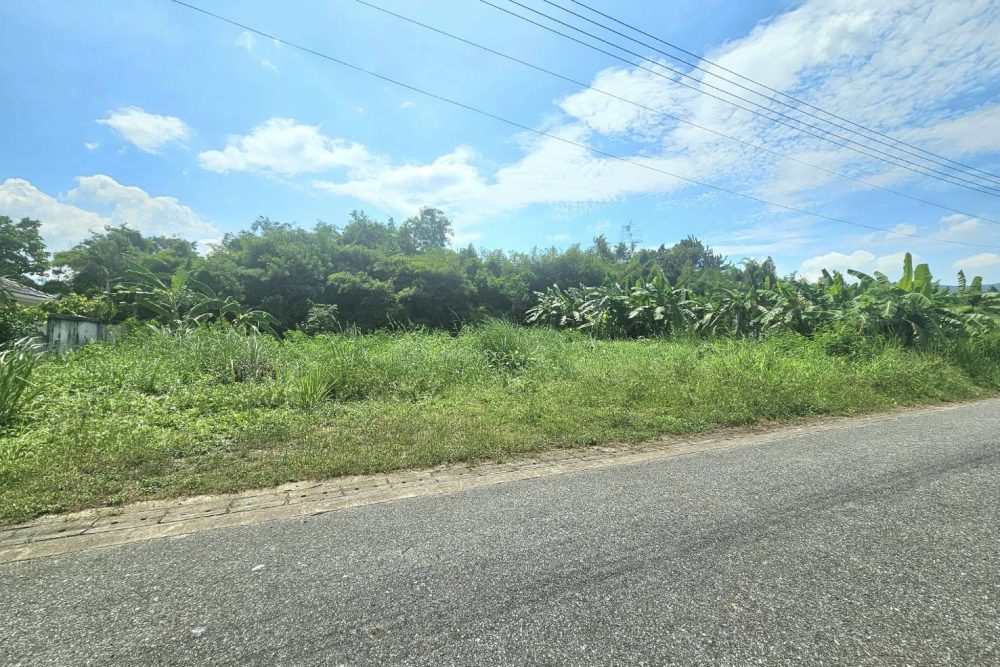 568251518_2047968549305182_6144710091529909023_n