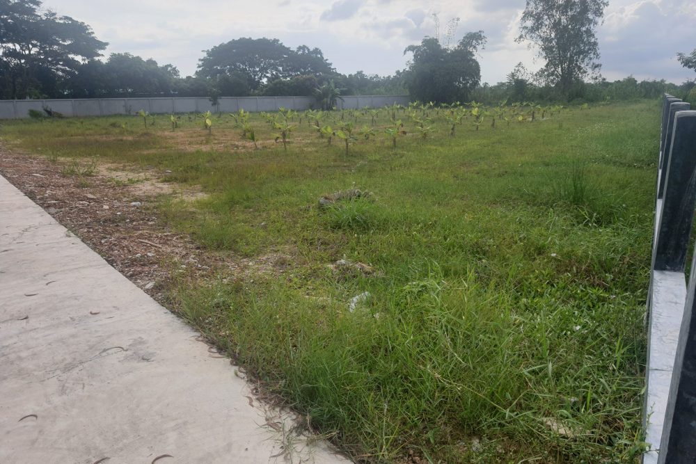 572893354_4336144956669181_5594858228917373733_n