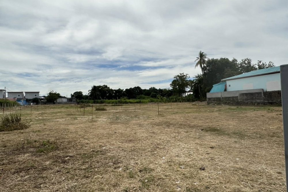 575175637_1194750839254341_4842334113250962781_n