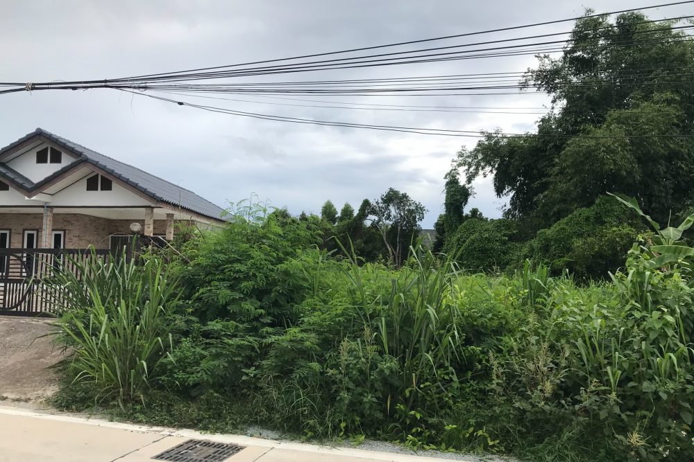 580519311_880421414650653_6838235362988586754_n