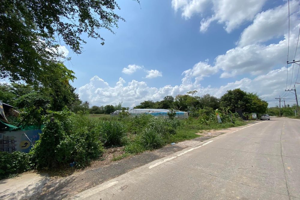 592260815_1421883059359698_7394718908484255425_n