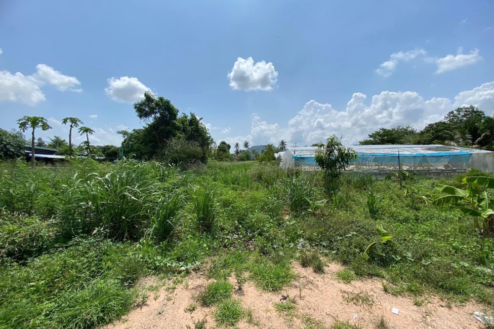 592920977_1421883032693034_8128379396772053448_n