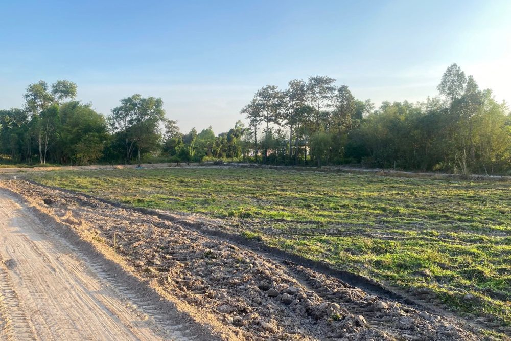 593359378_25661098760195260_864326761293808879_n