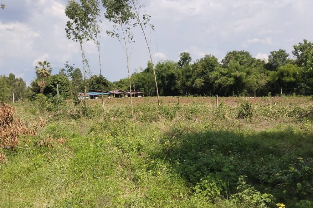 593712614_25259587547037759_5008155561379571650_n