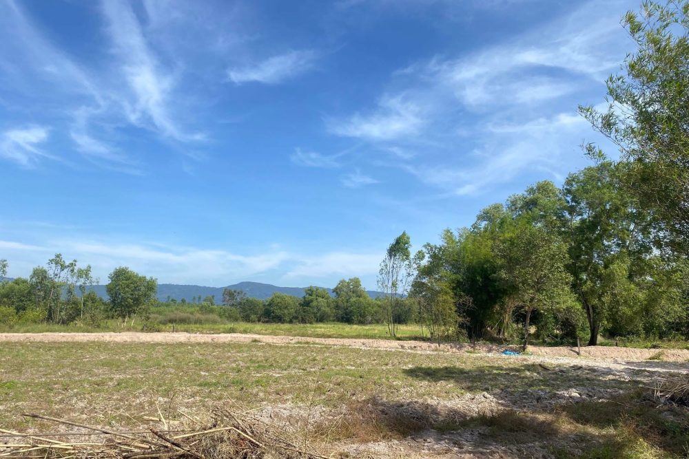 593887386_25661099290195207_783774221932703416_n