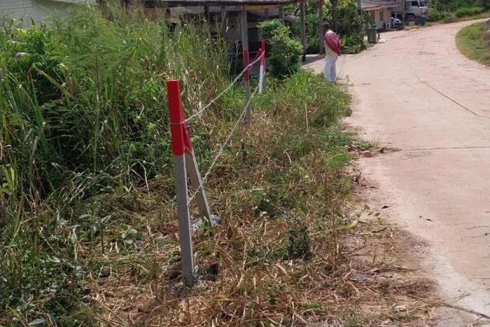 593977001_857774066805044_6988719772254249154_n