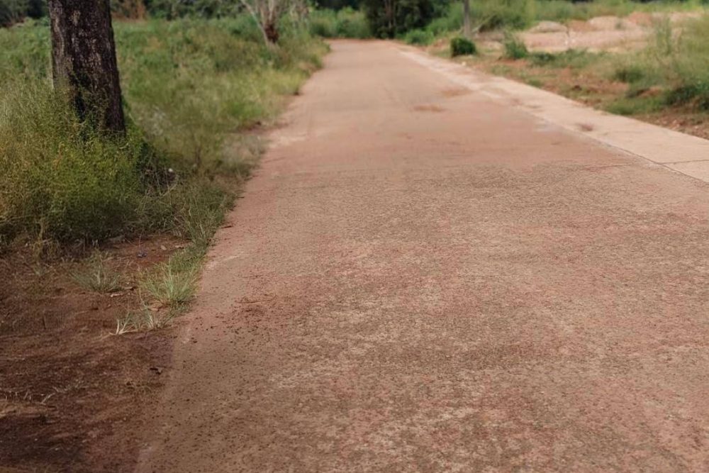 594177276_10238106716944513_5111220202978526001_n