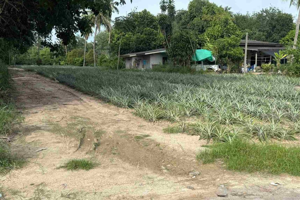 594963188_25200309936298127_266059604049834019_n_11zon