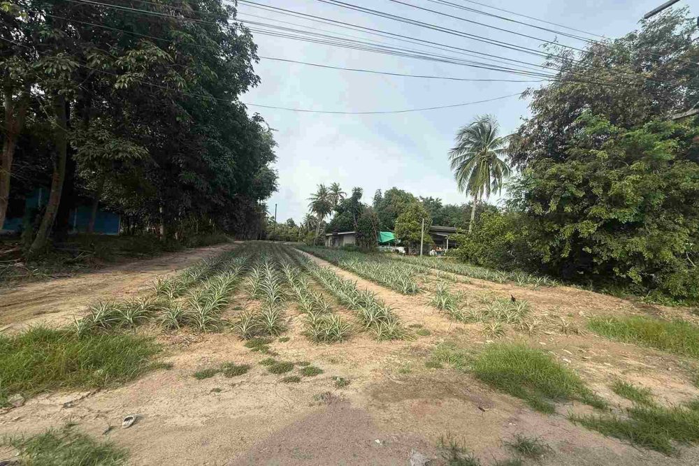 594968313_25200310286298092_6202143360706964152_n_11zon