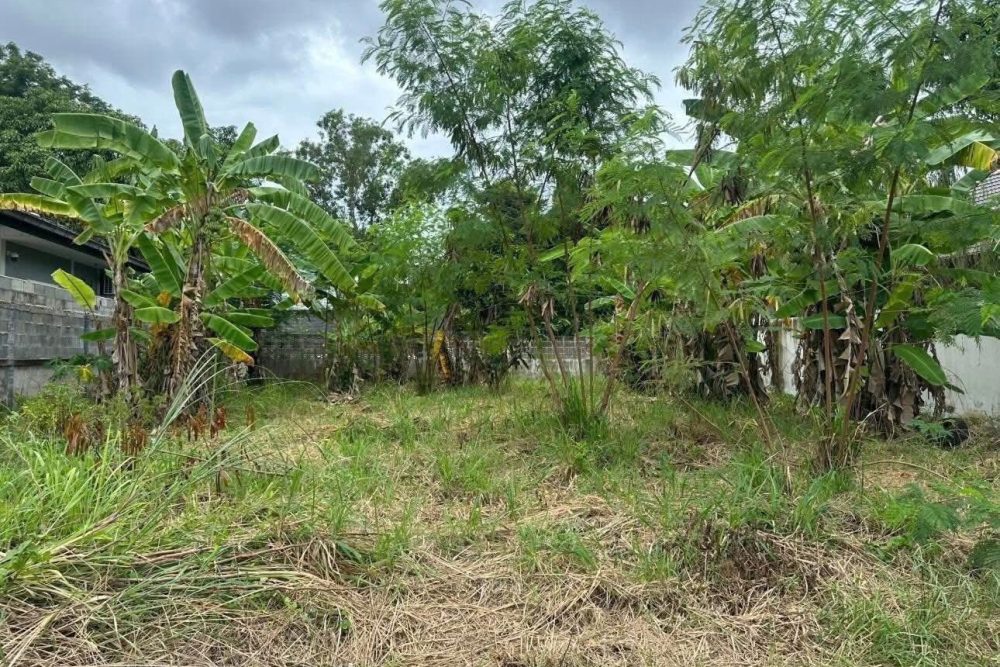 597381447_908026671793747_4445070856223422997_n