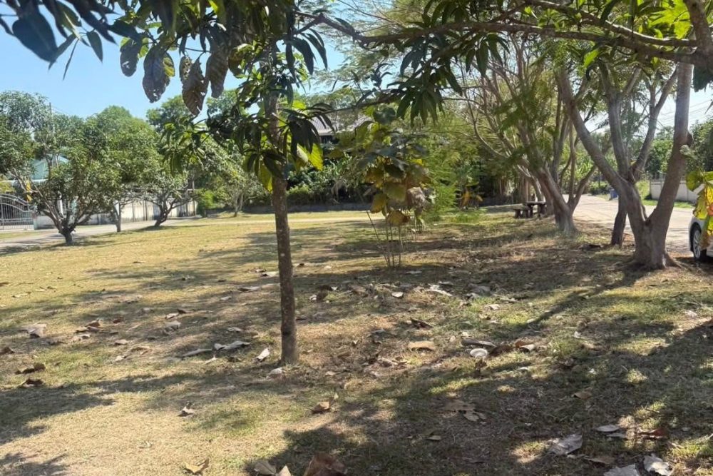 598404688_26330920006498771_517300578061640932_n