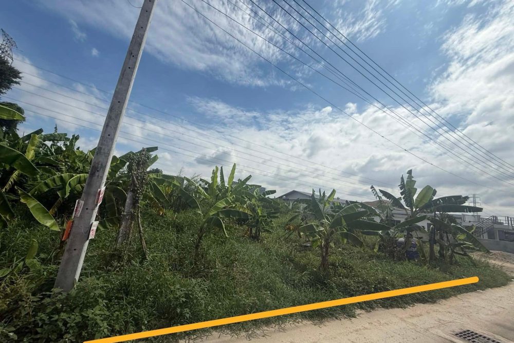 598755163_25635866852703845_5141859646796828821_n