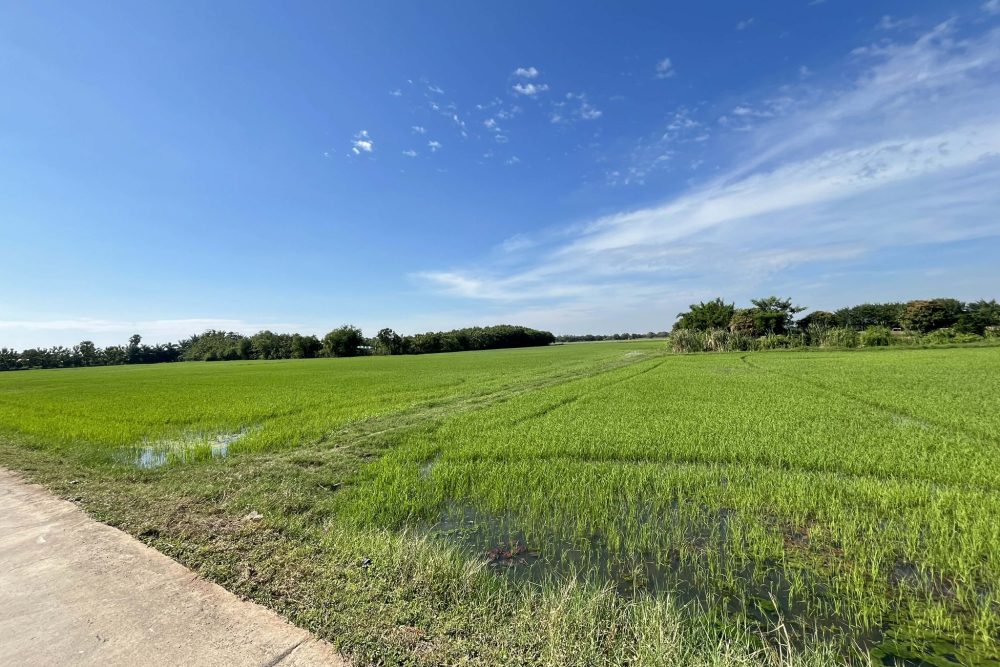 605773521_25903078452649239_3691217375125111918_n