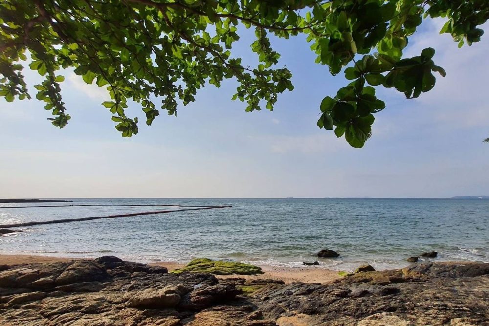 608972328_865138799470476_1030844323606455452_n