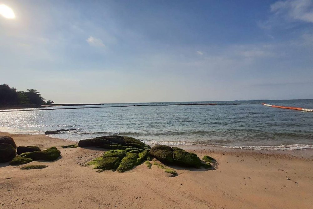 610947608_865138732803816_3551470006501686542_n