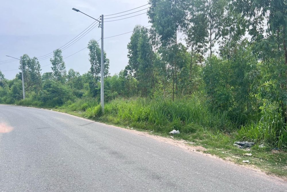 612500066_1202961481960108_9107653082860231599_n