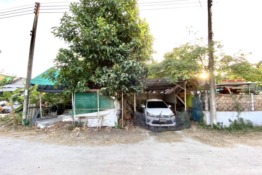 612603972_3462172653920733_5998247581335741839_n