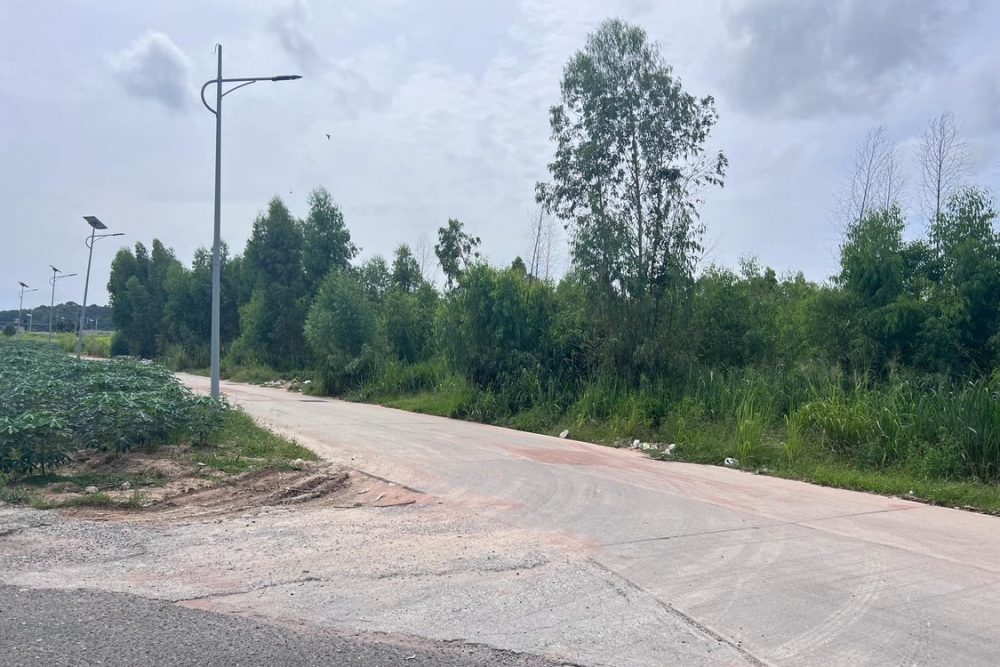 612724174_1202961455293444_7331697627686614938_n