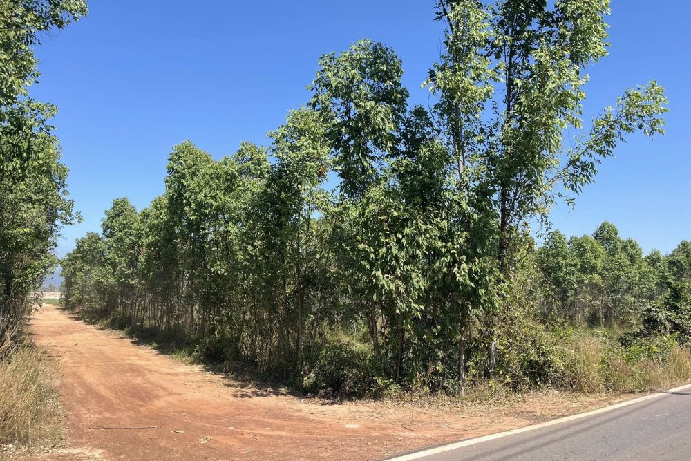 612942794_1589122428772923_5843665171127995682_n