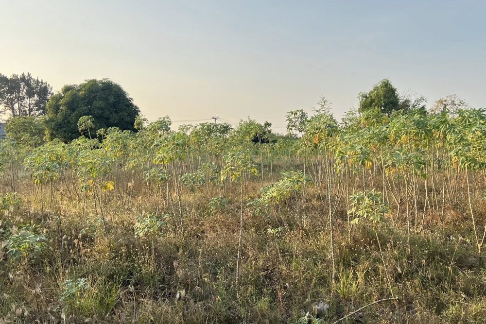 615328375_881288797779554_1023056882634613917_n