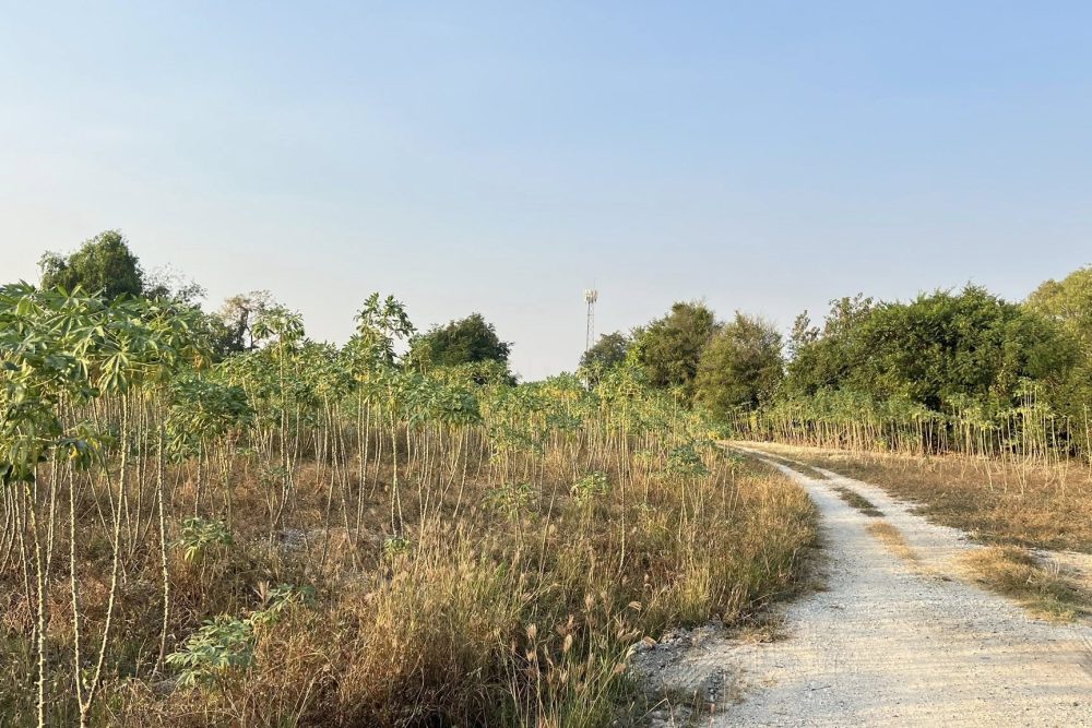 615895474_881288777779556_786014579067118935_n