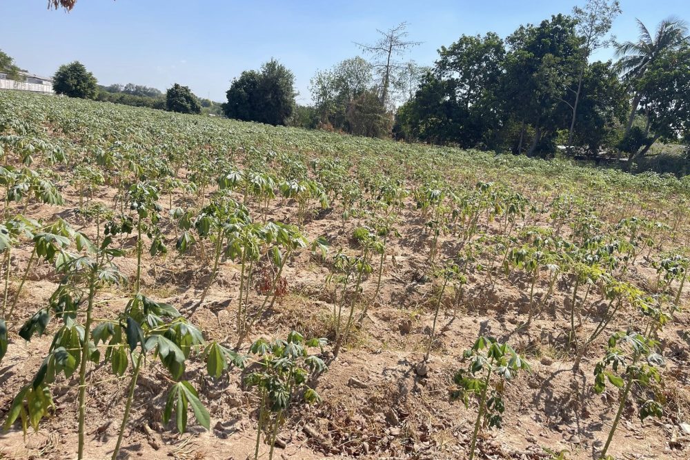 616847016_3781810318619511_19653159849464218_n